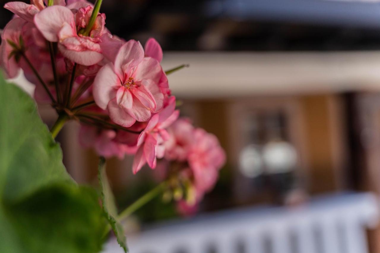 Casa Graciela Hotel Pátzcuaro Kültér fotó